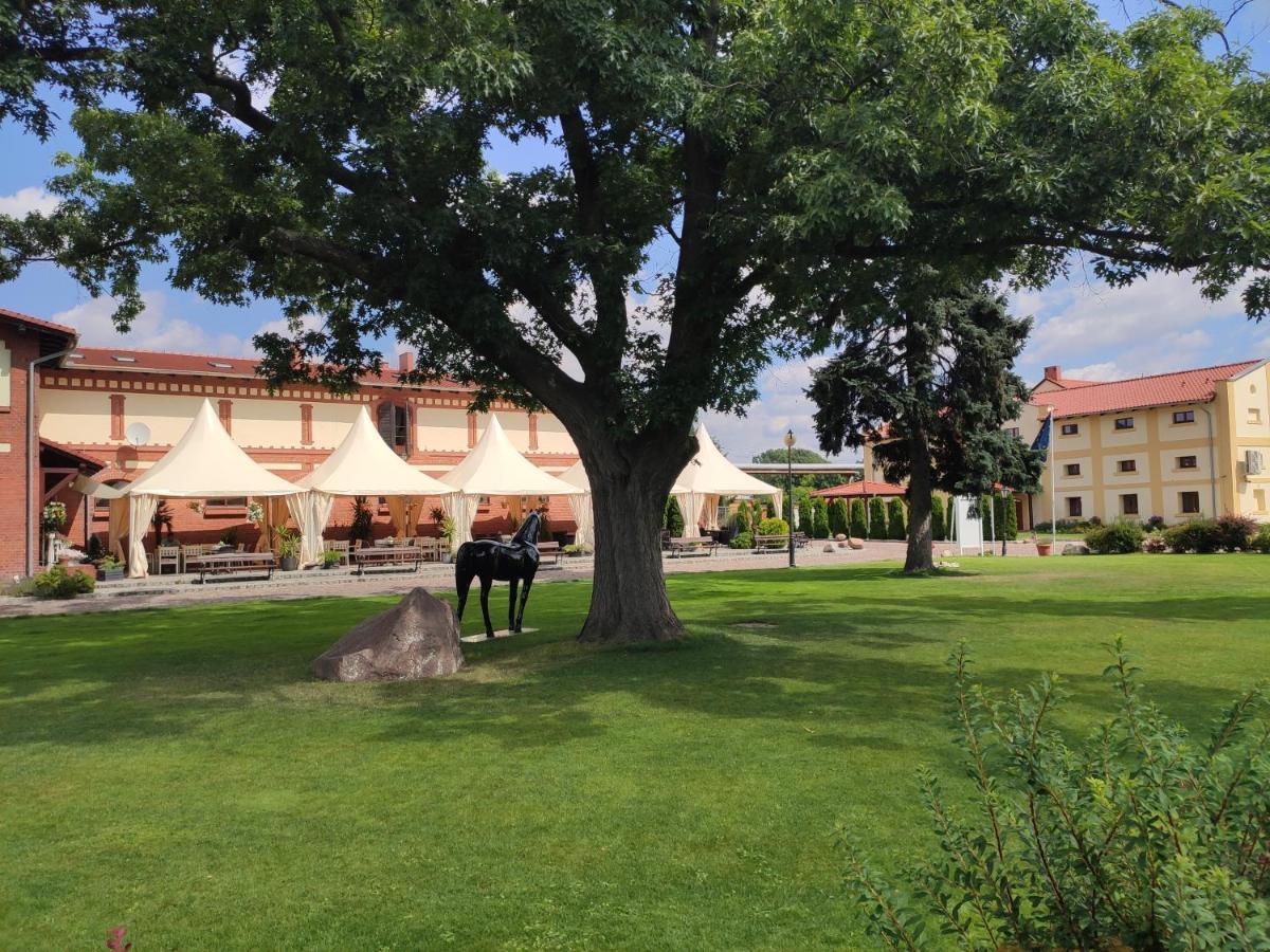 Sandro Silver 3* Leszno (Greater Poland)